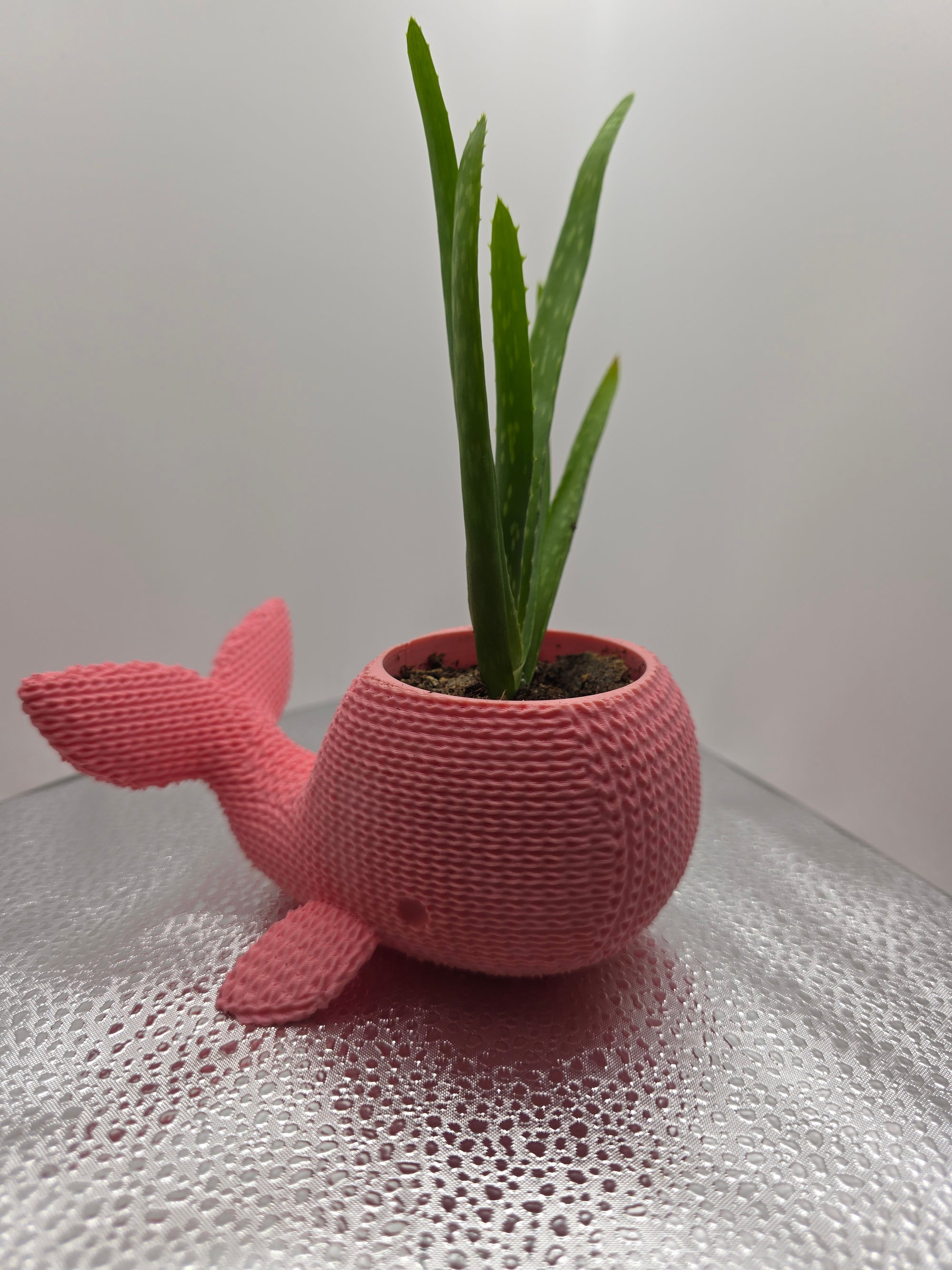 Knitted Whale Pot