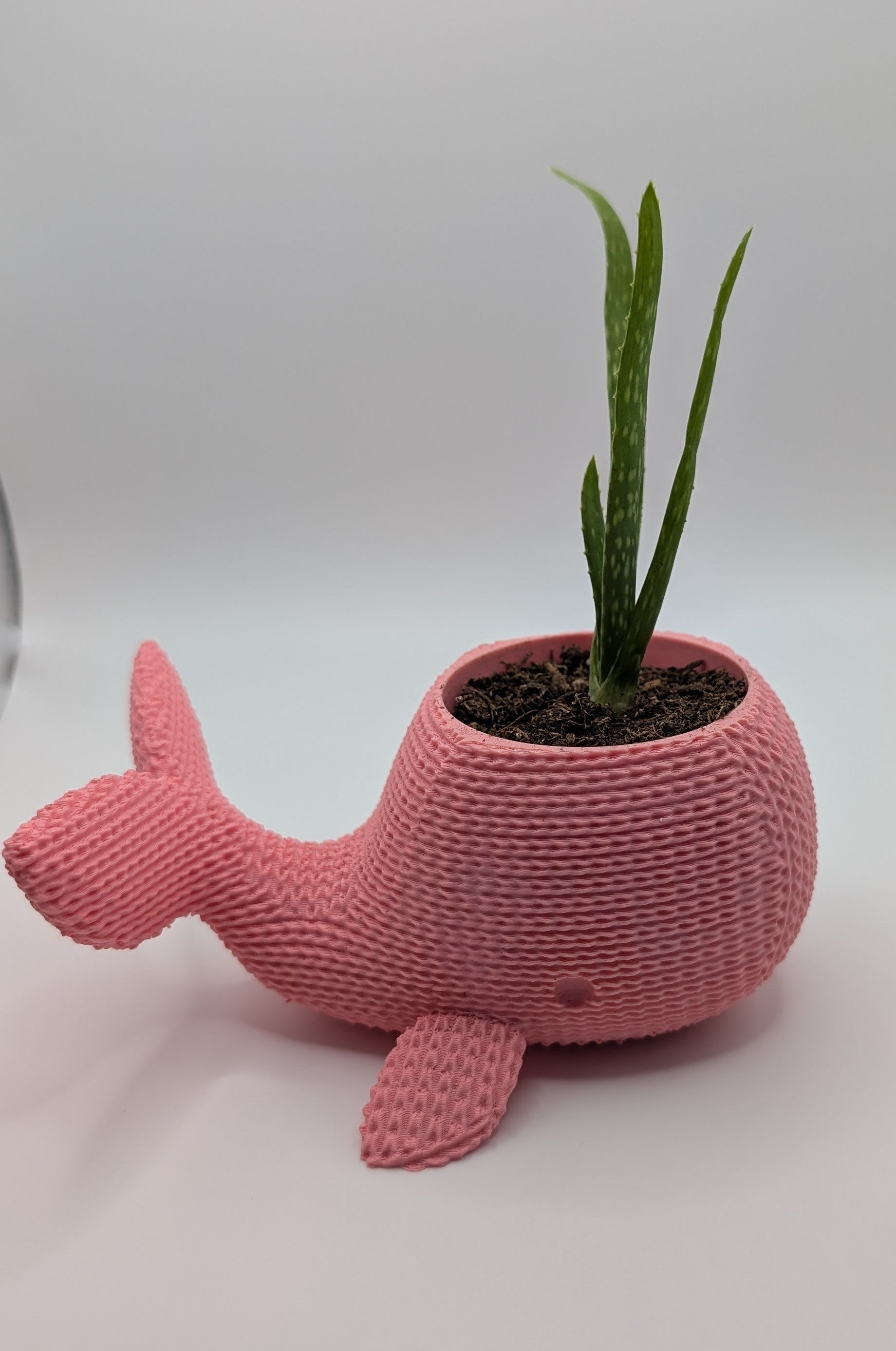 Knitted Whale Pot