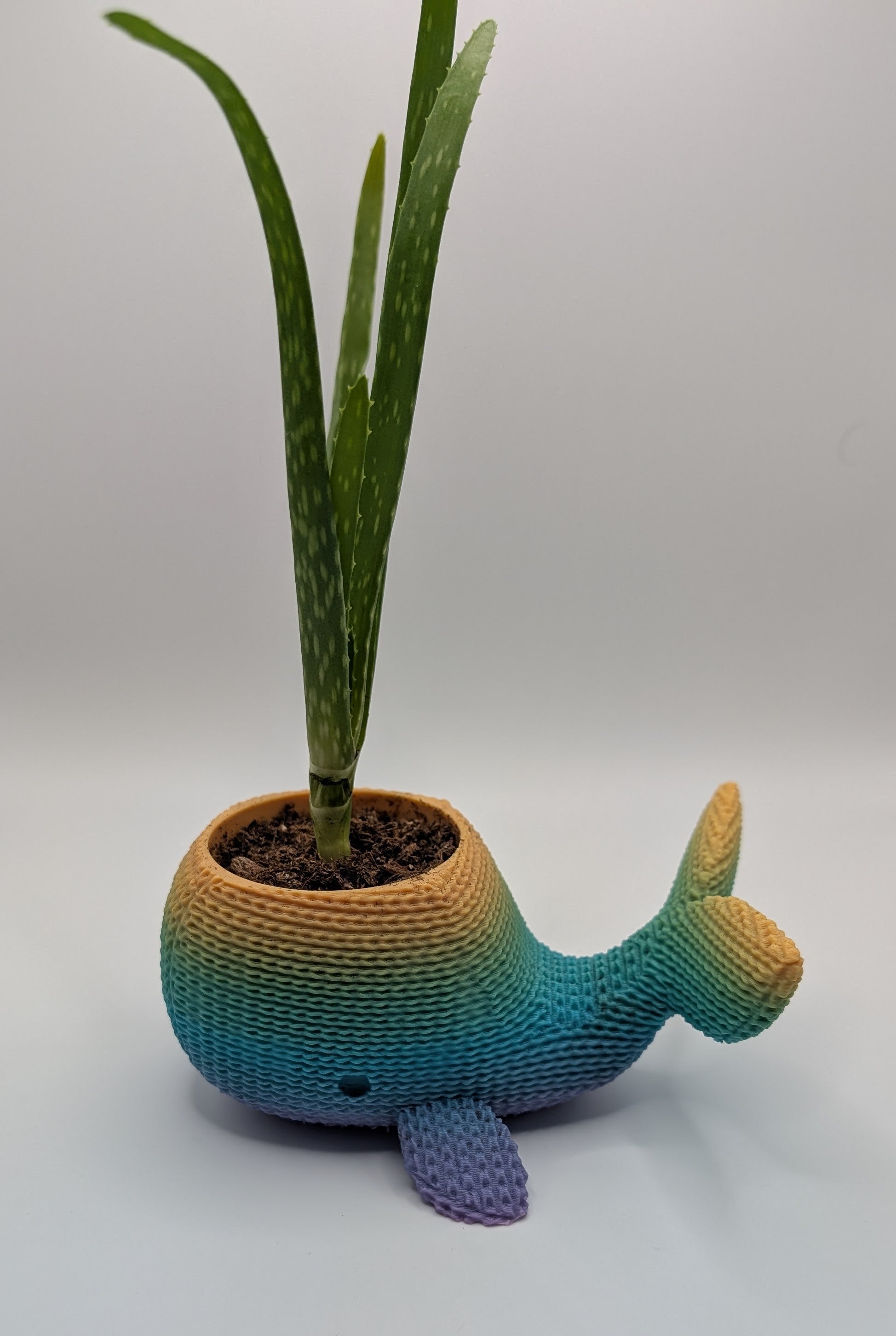 Knitted Whale Pot